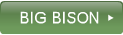  BIG BISON  